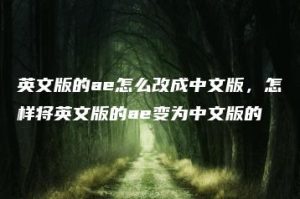 英文版的ae怎么改成中文版，怎样将英文版的ae变为中文版的 | ae插件合集