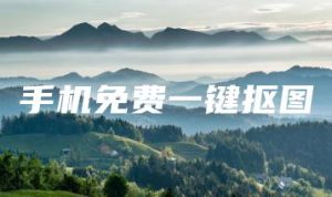 手机免费一键抠图 | ae插件合集