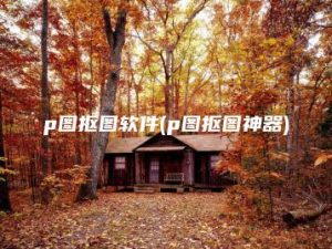 p图抠图软件(p图抠图神器) | ae插件合集