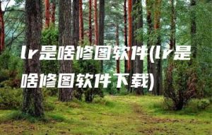 lr是啥修图软件(lr是啥修图软件下载) | ae插件合集