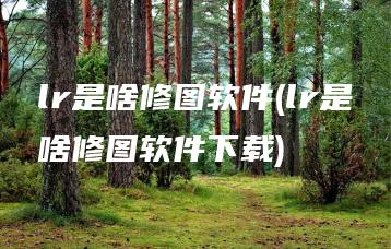 lr是啥修图软件(lr是啥修图软件下载) | ae插件合集