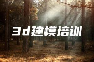 3d建模培训 | ae插件合集