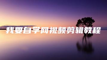 我要自学网视频剪辑教程 | ae插件合集