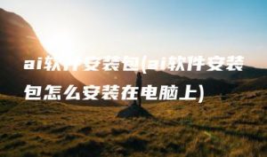 ai软件安装包(ai软件安装包怎么安装在电脑上) | ae插件合集