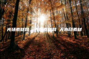 光场素材网，光场素材网 无水印素材 | ae插件合集