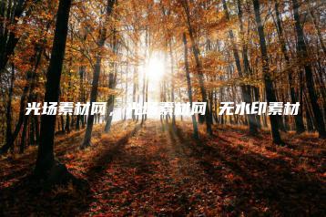 光场素材网，光场素材网 无水印素材 | ae插件合集