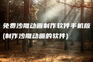 免费沙雕动画制作软件手机版(制作沙雕动画的软件) | ae插件合集