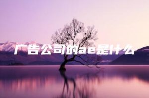 广告公司的ae是什么 | ae插件合集