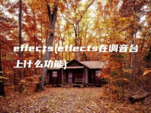 effects(effects在调音台上什么功能) | ae插件合集