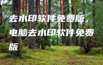 去水印软件免费版，电脑去水印软件免费版 | ae插件合集