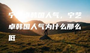 宁艺卓韩国人气，宁艺卓韩国人气为什么那么低 | ae插件合集