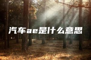 汽车ae是什么意思 | ae插件合集