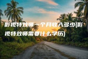 影视特效师一个月收入多少(影视特效师需要什么学历) | ae插件合集