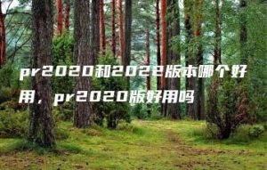 pr2020和2022版本哪个好用，pr2020版好用吗 | ae插件合集