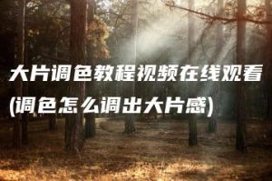 大片调色教程视频在线观看(调色怎么调出大片感) | ae插件合集