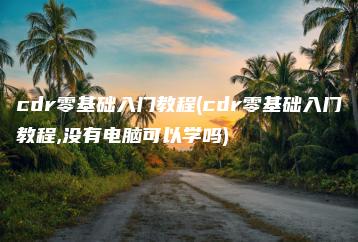 cdr零基础入门教程(cdr零基础入门教程,没有电脑可以学吗) | ae插件合集