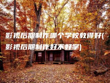 影视后期制作哪个学校教得好(影视后期制作好不好学) | ae插件合集