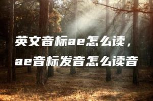 英文音标ae怎么读，ae音标发音怎么读音 | ae插件合集