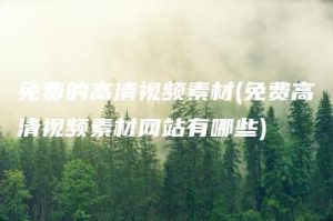 免费的高清视频素材(免费高清视频素材网站有哪些) | ae插件合集