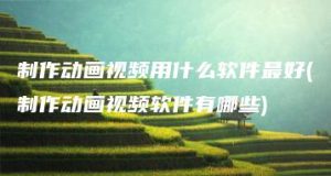 制作动画视频用什么软件最好(制作动画视频软件有哪些) | ae插件合集