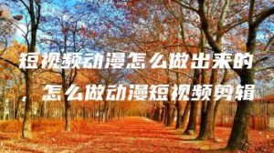 短视频动漫怎么做出来的，怎么做动漫短视频剪辑 | ae插件合集