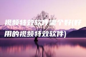 视频特效软件哪个好(好用的视频特效软件) | ae插件合集