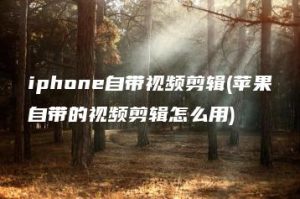 iphone自带视频剪辑(苹果自带的视频剪辑怎么用) | ae插件合集