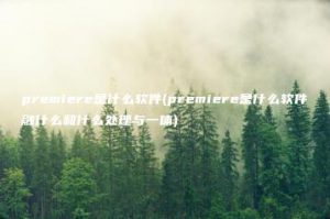 premiere是什么软件(premiere是什么软件融什么和什么处理与一体) | ae插件合集