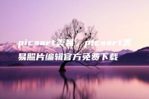 picsart美易，picsart美易照片编辑官方免费下载 | ae插件合集