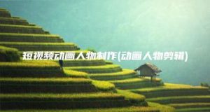 短视频动画人物制作(动画人物剪辑) | ae插件合集