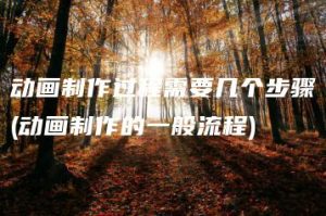 动画制作过程需要几个步骤(动画制作的一般流程) | ae插件合集