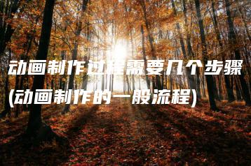 动画制作过程需要几个步骤(动画制作的一般流程) | ae插件合集