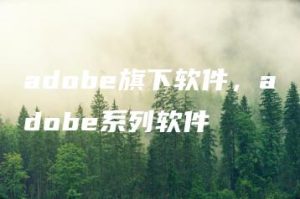 adobe旗下软件，adobe系列软件 | ae插件合集