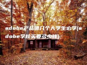 adobe产品哪几个大学生必学(adobe学校买要多少钱) | ae插件合集