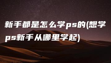 新手都是怎么学ps的(想学ps新手从哪里学起) | ae插件合集