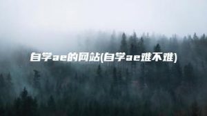 自学ae的网站(自学ae难不难) | ae插件合集