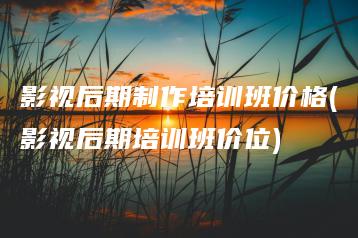 影视后期制作培训班价格(影视后期培训班价位) | ae插件合集