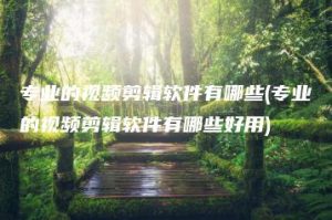 专业的视频剪辑软件有哪些(专业的视频剪辑软件有哪些好用) | ae插件合集