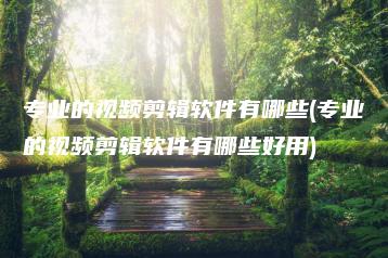 专业的视频剪辑软件有哪些(专业的视频剪辑软件有哪些好用) | ae插件合集