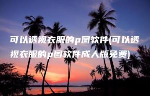 可以透视衣服的p图软件(可以透视衣服的p图软件成人版免费) | ae插件合集