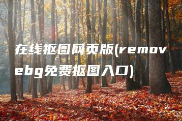 在线抠图网页版(removebg免费抠图入口) | ae插件合集