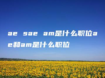 ae sae am是什么职位ae和am是什么职位 | ae插件合集