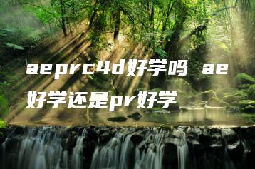 aeprc4d好学吗 ae好学还是pr好学 | ae插件合集