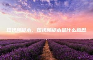 短视频脚本、短视频脚本是什么意思 | ae插件合集