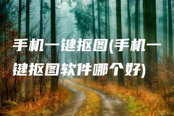 手机一键抠图(手机一键抠图软件哪个好) | ae插件合集