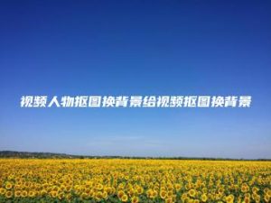 视频人物抠图换背景给视频抠图换背景 | ae插件合集