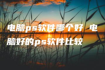 电脑ps软件哪个好 电脑好的ps软件比较 | ae插件合集