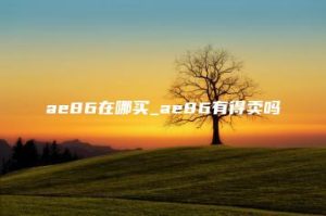 ae86在哪买_ae86有得卖吗 | ae插件合集