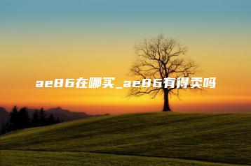 ae86在哪买_ae86有得卖吗 | ae插件合集