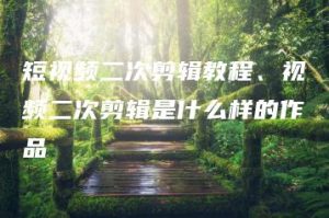 短视频二次剪辑教程、视频二次剪辑是什么样的作品 | ae插件合集